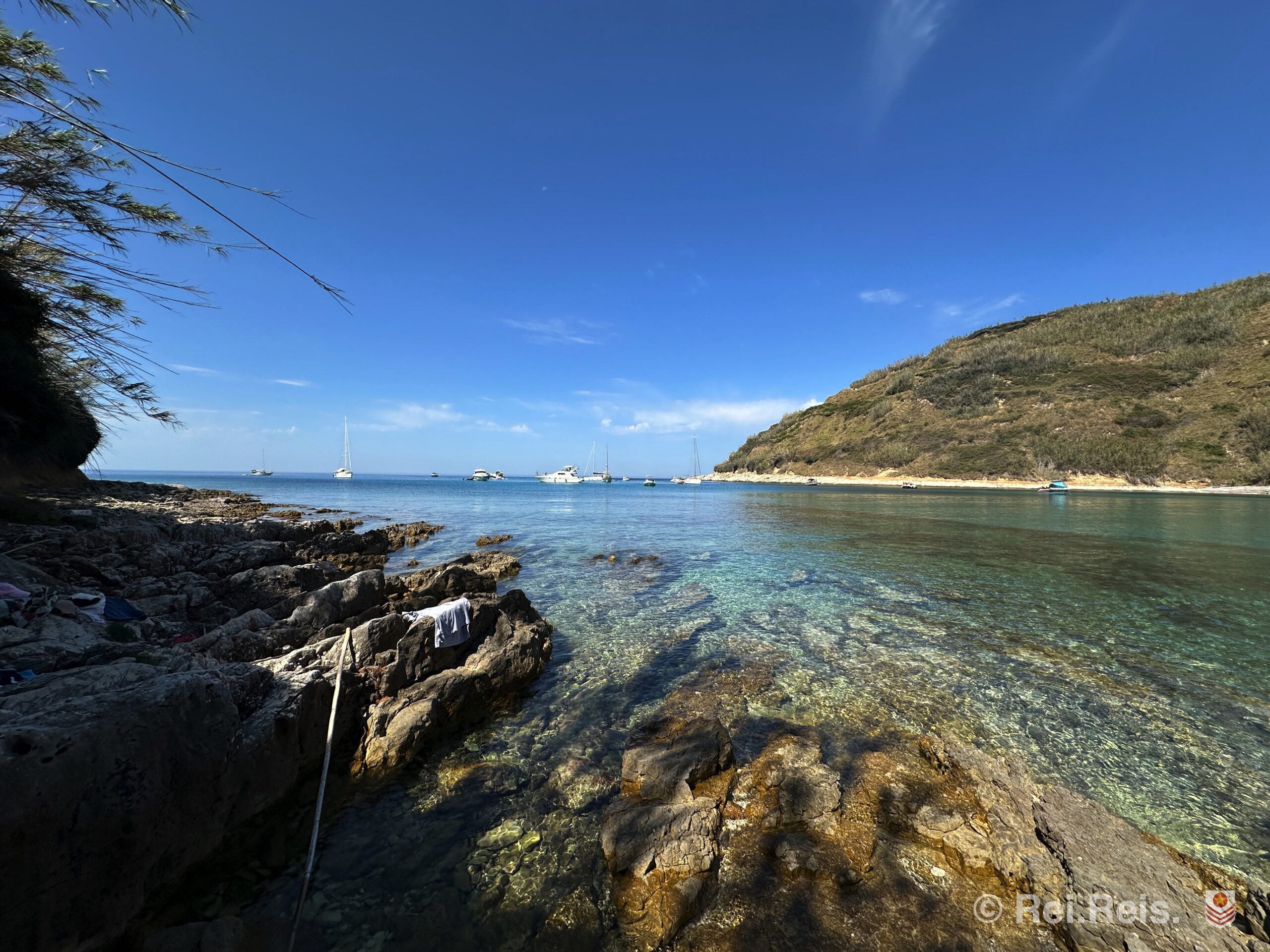 Just one single image